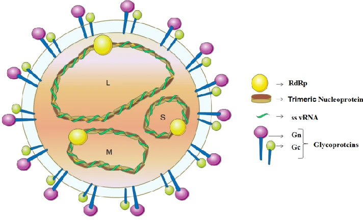Virus Hanta